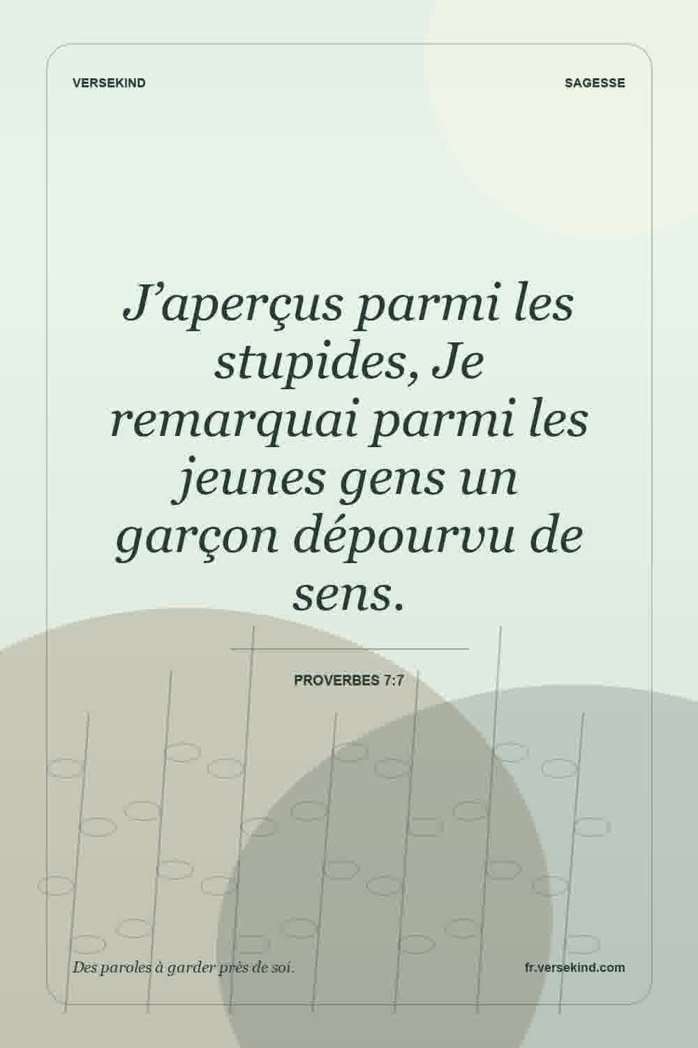 J’aperçus parmi les stupides, Je remarquai parmi les jeunes gens un garçon dépourvu de sens. — Proverbes 7:7