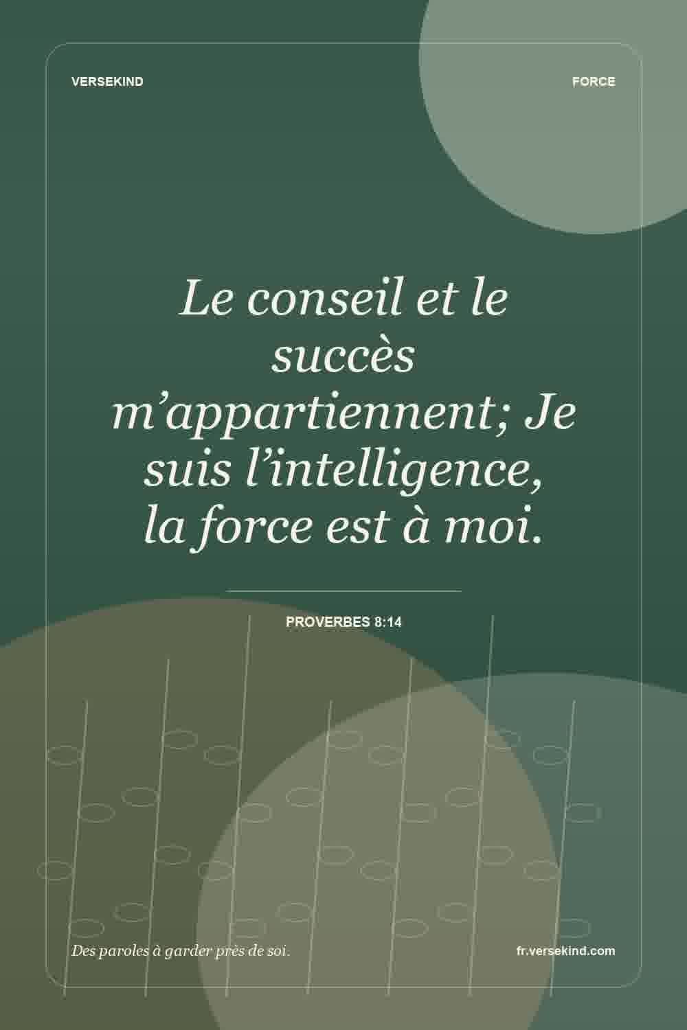 Le conseil et le succès m’appartiennent; Je suis l’intelligence, la force est à moi. — Proverbes 8:14