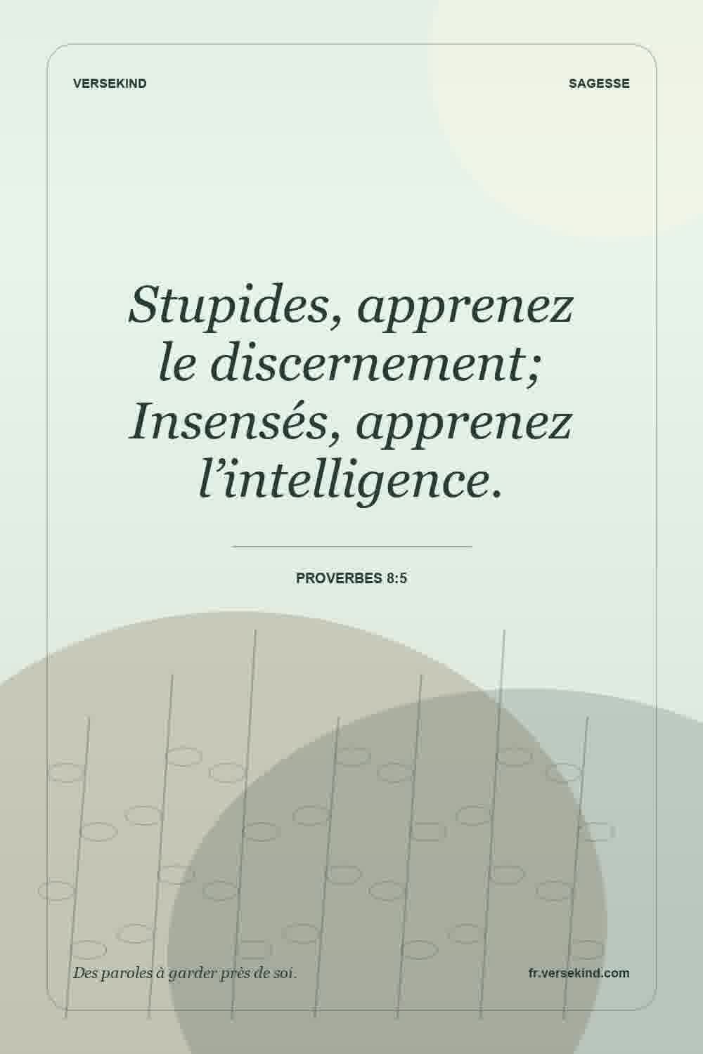 Stupides, apprenez le discernement; Insensés, apprenez l’intelligence. — Proverbes 8:5