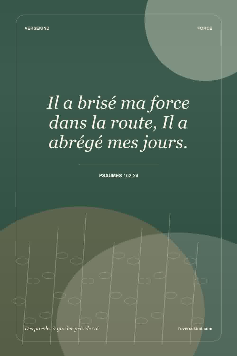 Il a brisé ma force dans la route, Il a abrégé mes jours. — Psaumes 102:24