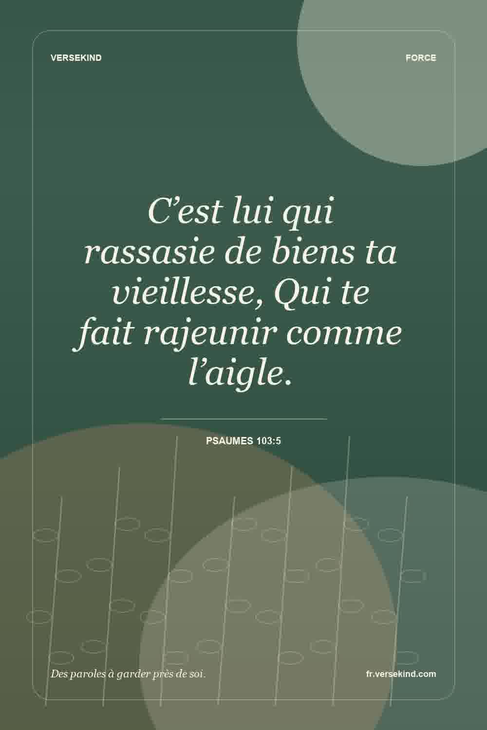 C’est lui qui rassasie de biens ta vieillesse, Qui te fait rajeunir comme l’aigle. — Psaumes 103:5
