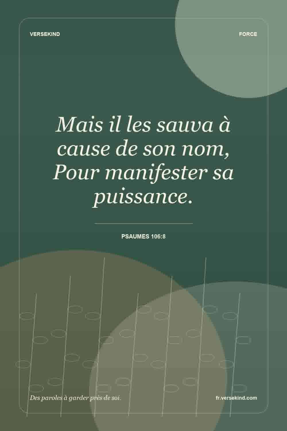 Mais il les sauva à cause de son nom, Pour manifester sa puissance. — Psaumes 106:8