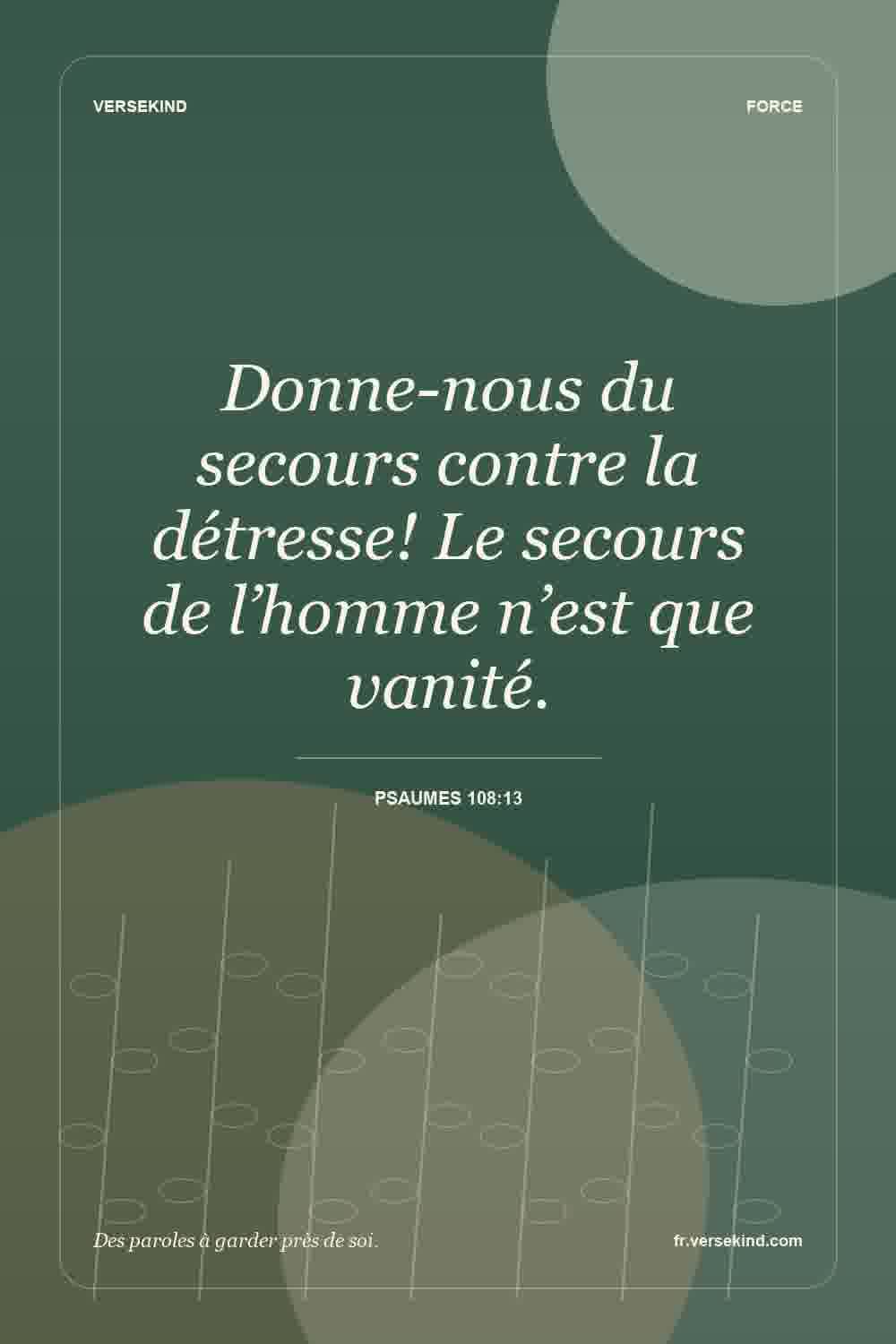 Donne-nous du secours contre la détresse! Le secours de l’homme n’est que vanité. — Psaumes 108:13
