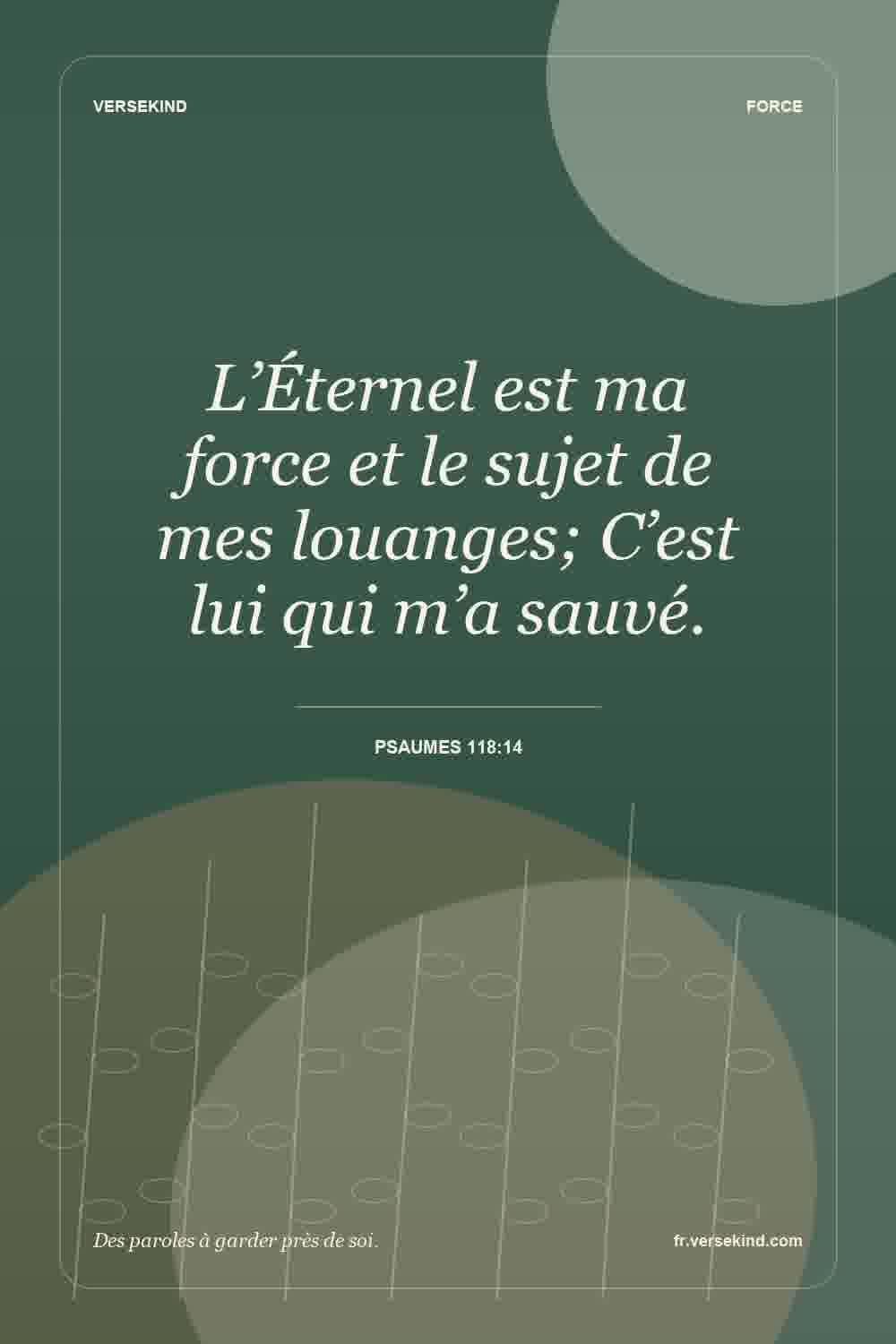 L’Éternel est ma force et le sujet de mes louanges; C’est lui qui m’a sauvé. — Psaumes 118:14