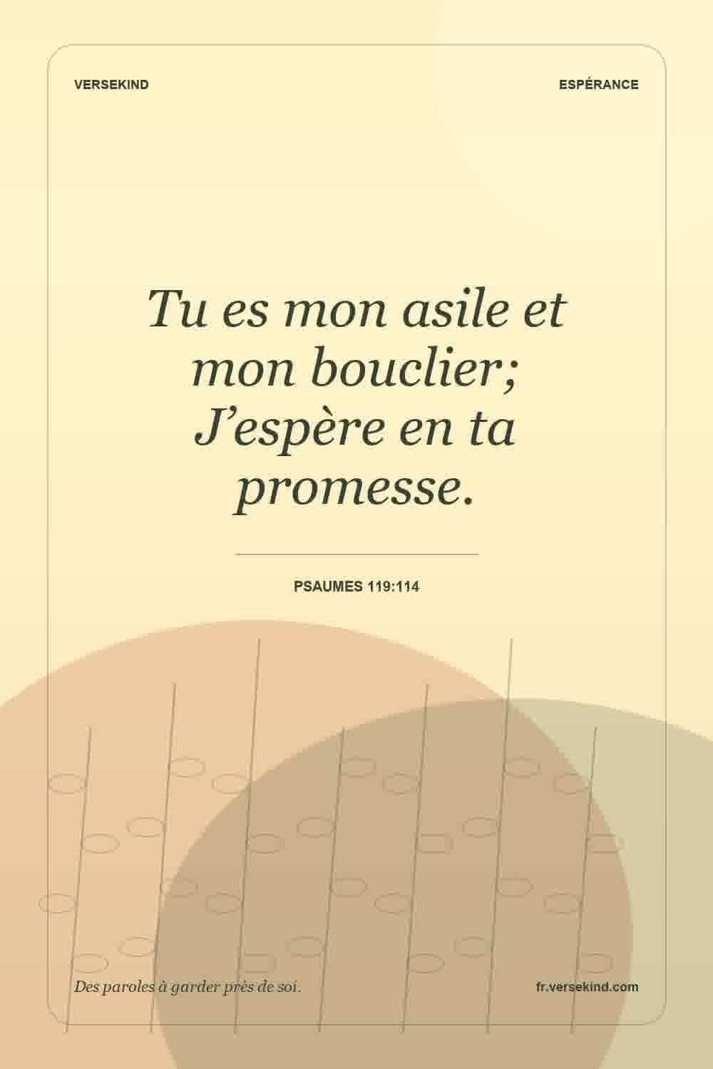 Tu es mon asile et mon bouclier; J’espère en ta promesse. — Psaumes 119:114