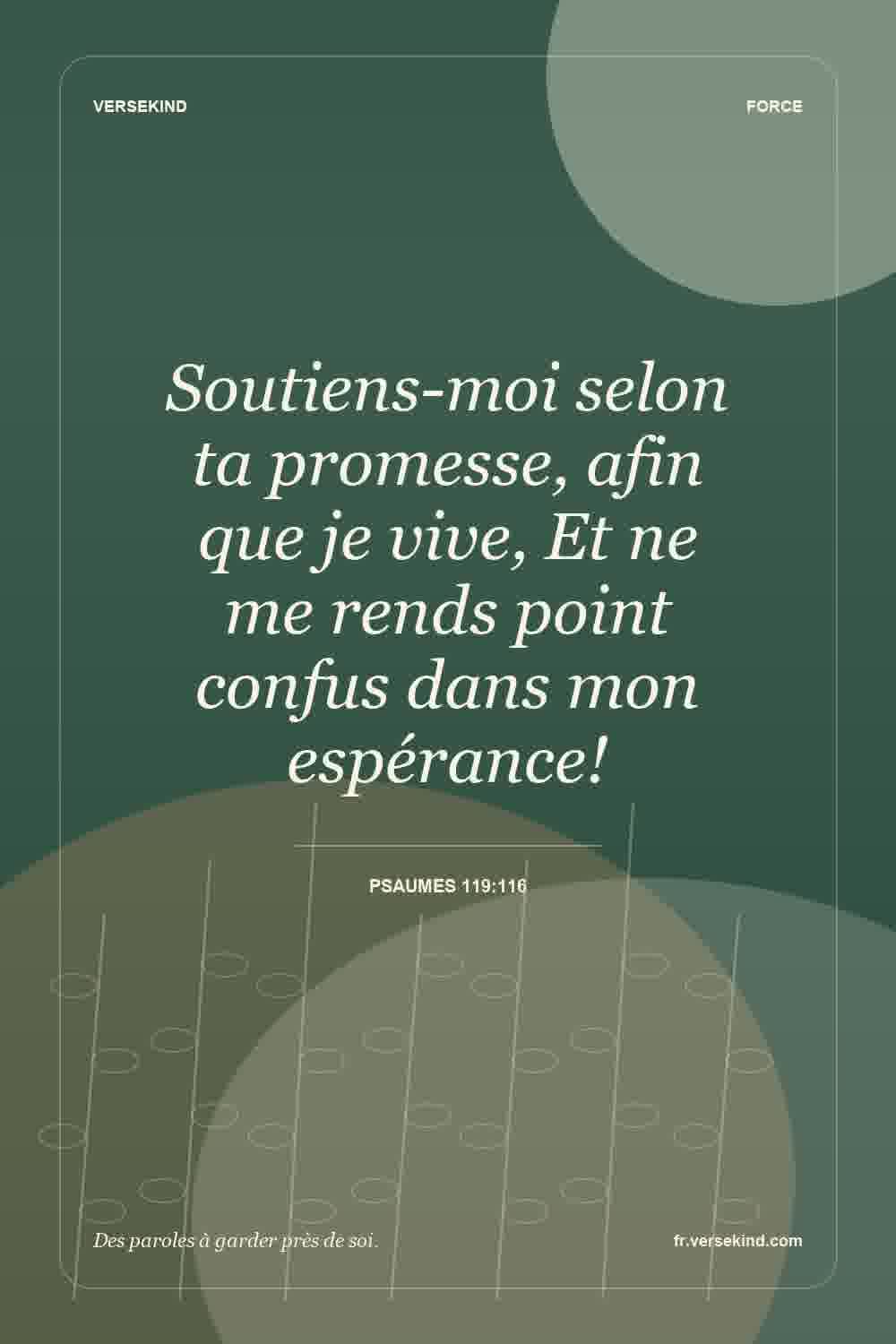 Soutiens-moi selon ta promesse, afin que je vive, Et ne me rends point confus dans mon espérance! — Psaumes 119:116