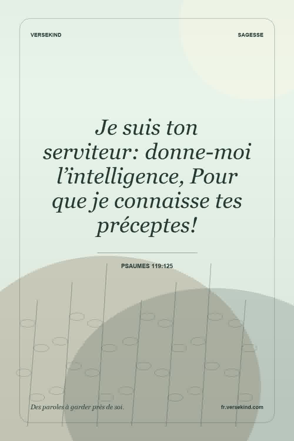 Je suis ton serviteur: donne-moi l’intelligence, Pour que je connaisse tes préceptes! — Psaumes 119:125