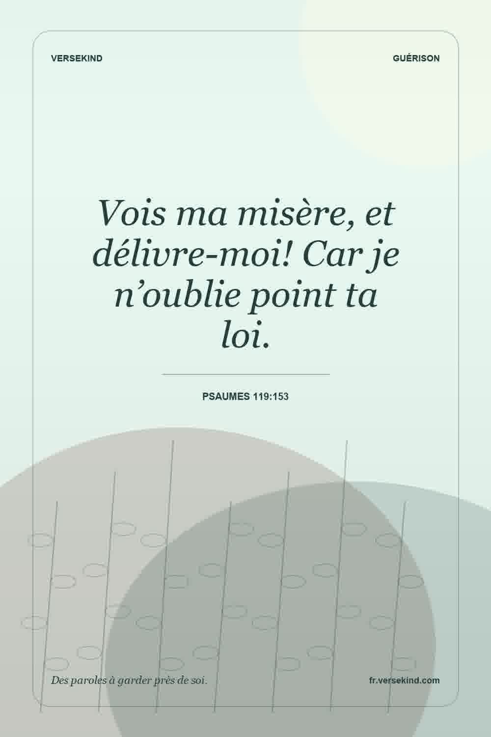 Vois ma misère, et délivre-moi! Car je n’oublie point ta loi. — Psaumes 119:153
