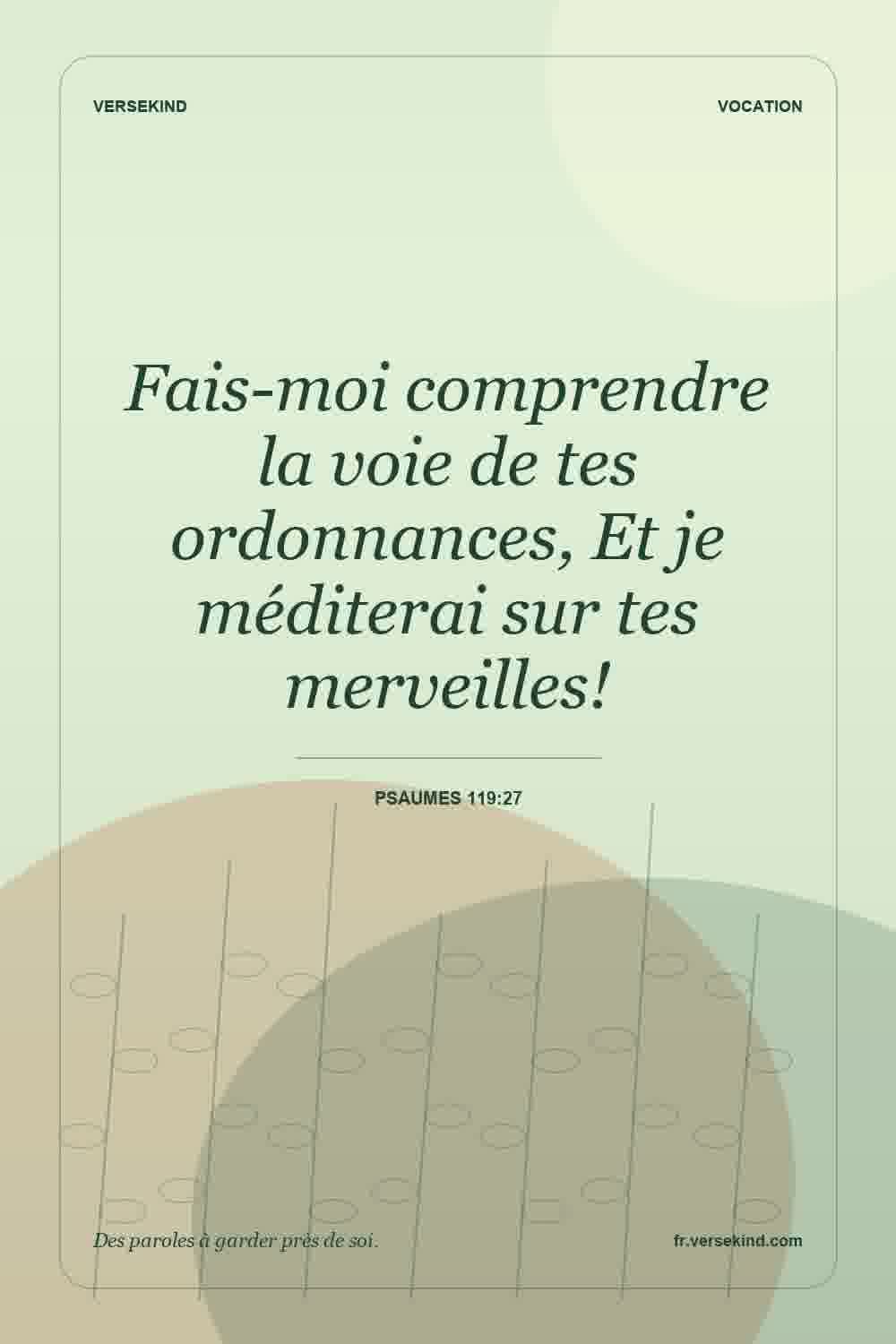 Fais-moi comprendre la voie de tes ordonnances, Et je méditerai sur tes merveilles! — Psaumes 119:27