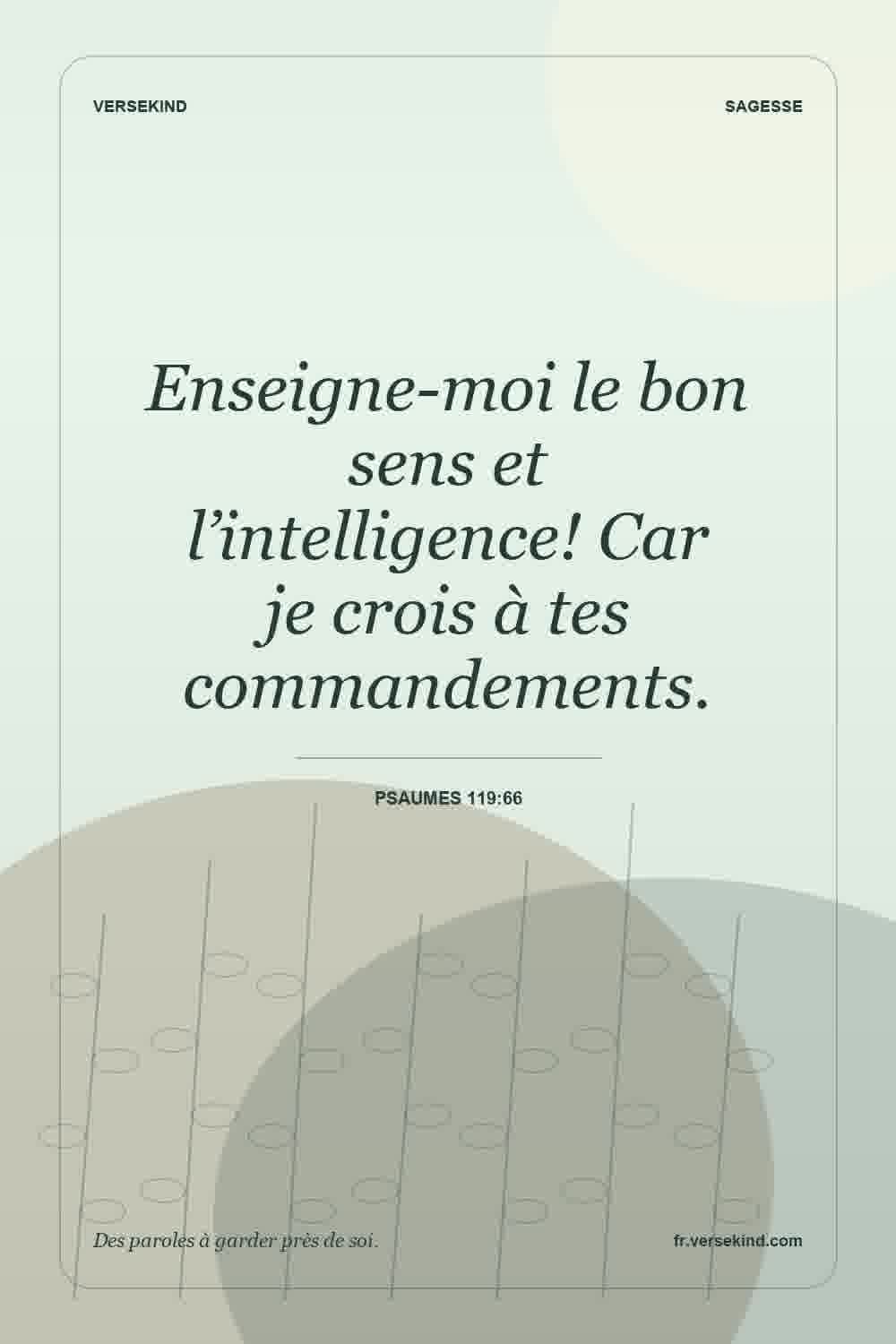 Enseigne-moi le bon sens et l’intelligence! Car je crois à tes commandements. — Psaumes 119:66