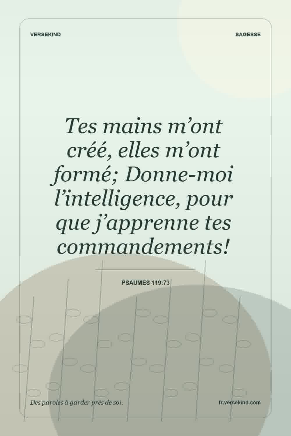 Tes mains m’ont créé, elles m’ont formé; Donne-moi l’intelligence, pour que j’apprenne tes commandements! — Psaumes 119:73