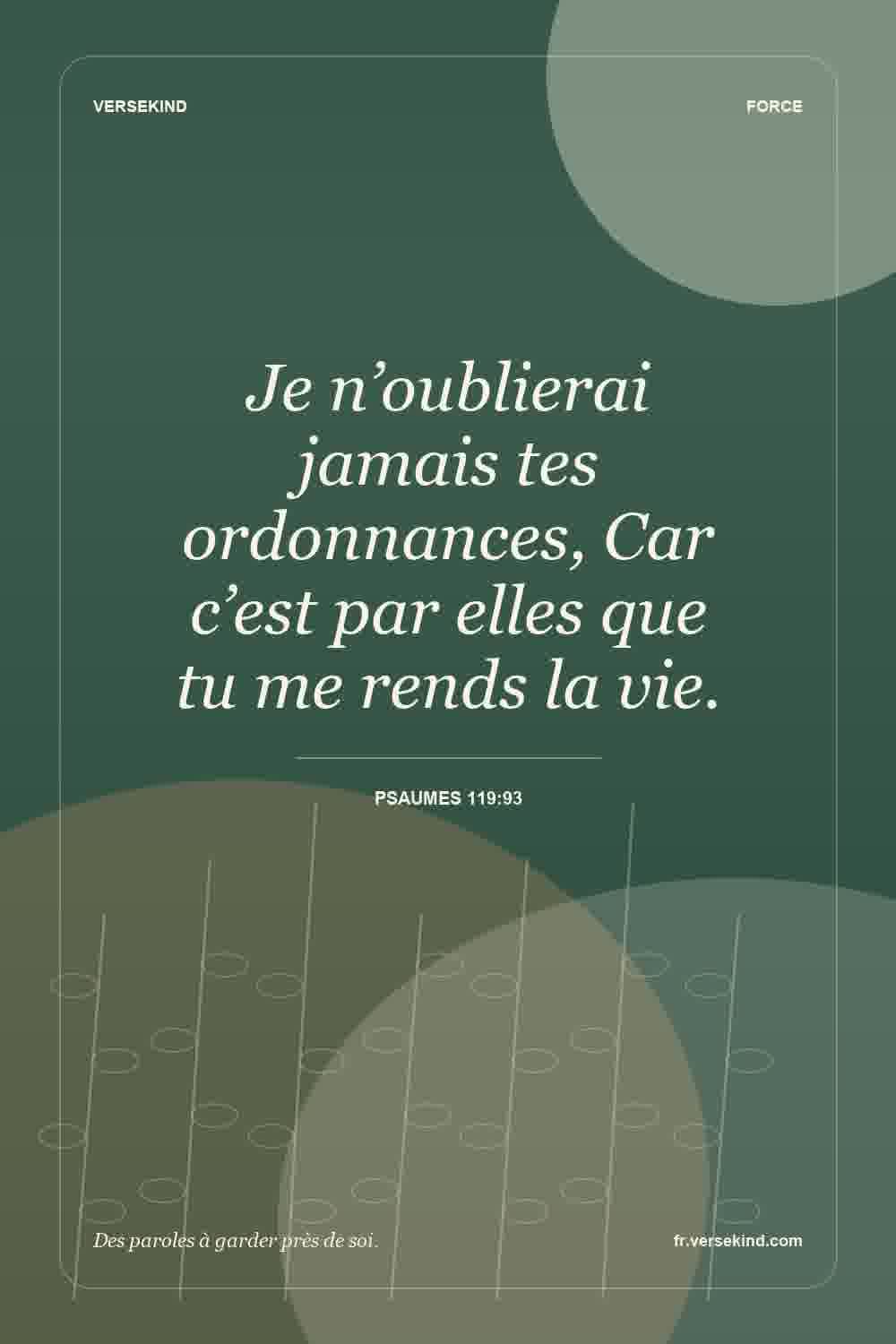 Je n’oublierai jamais tes ordonnances, Car c’est par elles que tu me rends la vie. — Psaumes 119:93