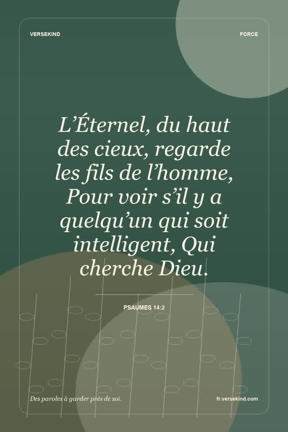 L’Éternel, du haut des cieux, regarde les fils de l’homme, Pour voir s’il y a quelqu’un qui soit intelligent, Qui cherche Dieu. — Psaumes 14:2