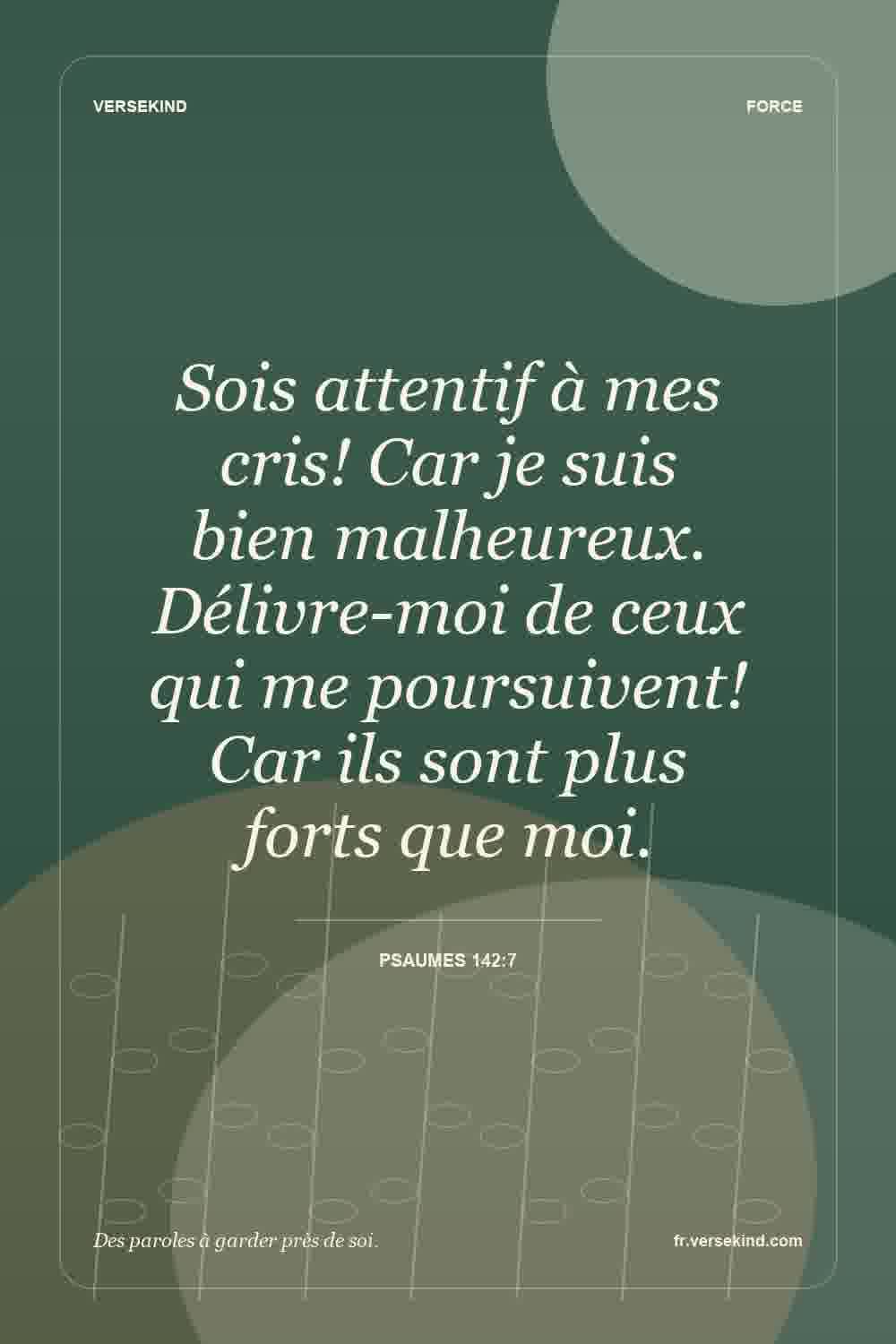 Sois attentif à mes cris! Car je suis bien malheureux. Délivre-moi de ceux qui me poursuivent! Car ils sont plus forts que moi. — Psaumes 142:7