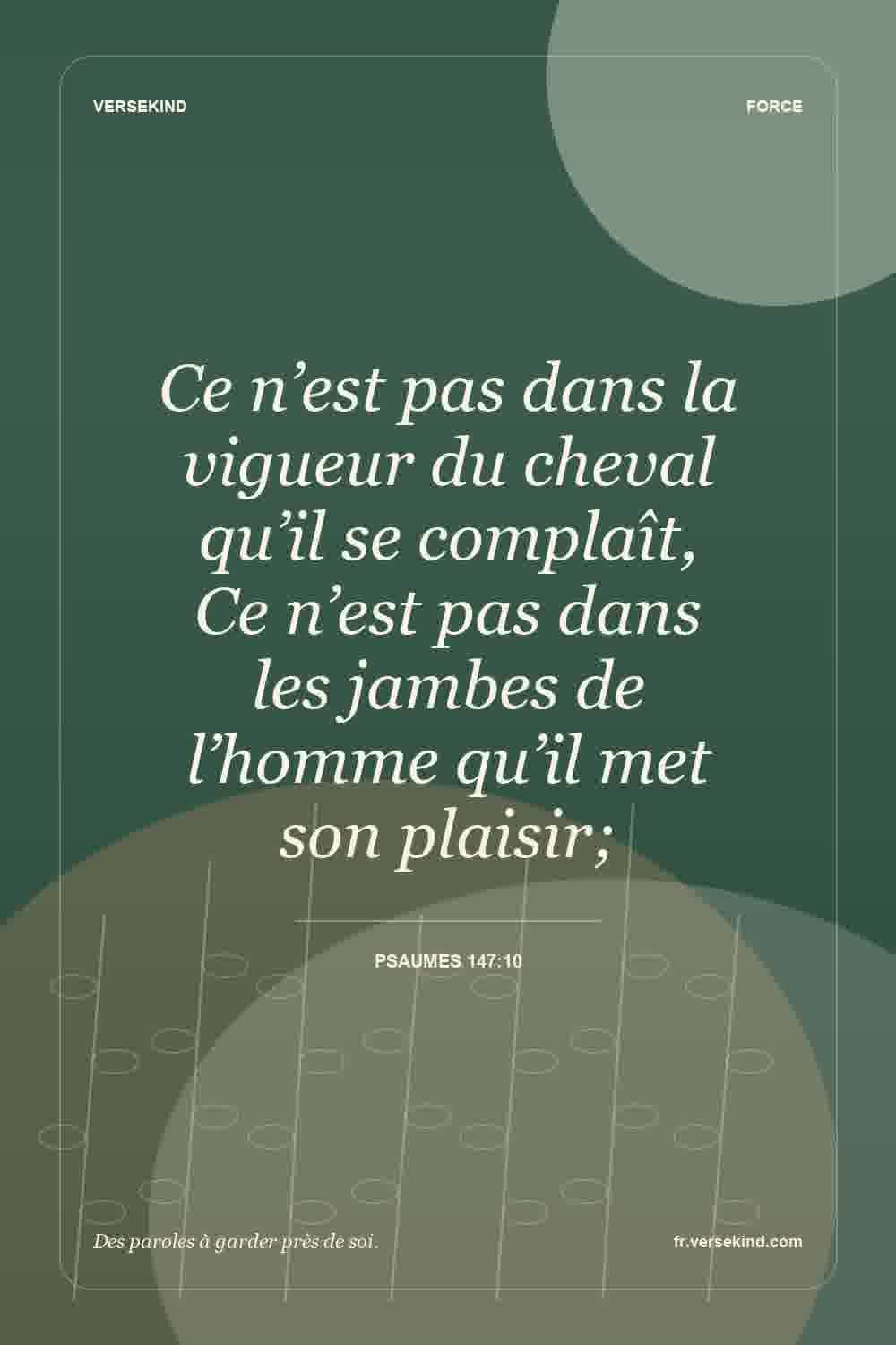Ce n’est pas dans la vigueur du cheval qu’il se complaît, Ce n’est pas dans les jambes de l’homme qu’il met son plaisir; — Psaumes 147:10