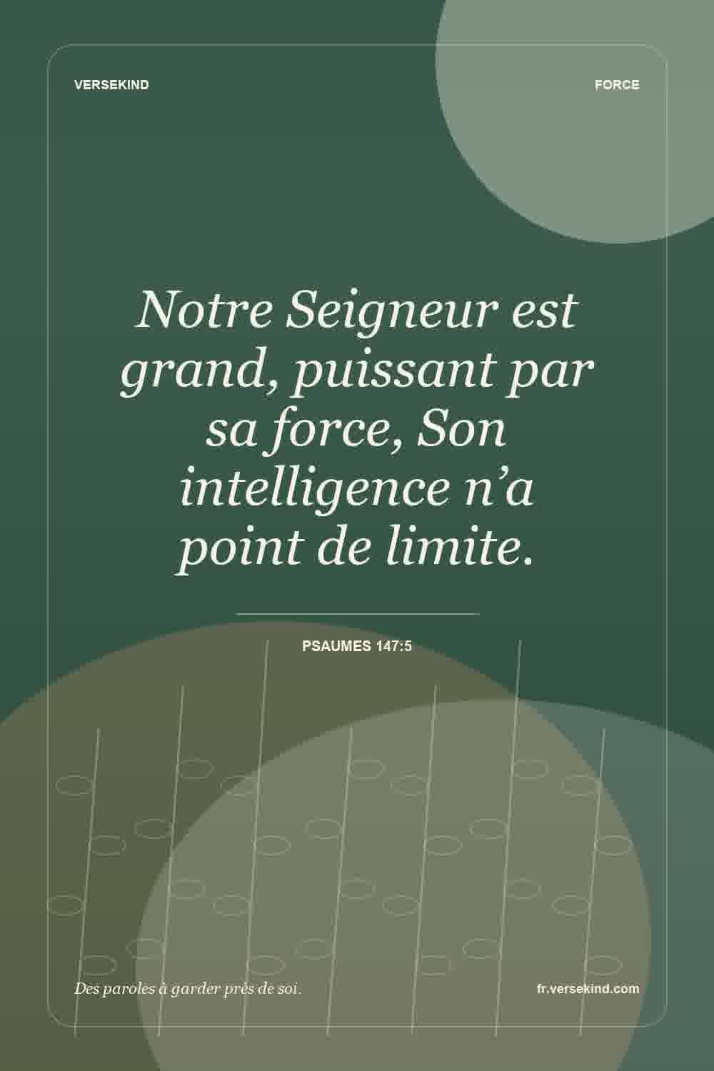Notre Seigneur est grand, puissant par sa force, Son intelligence n’a point de limite. — Psaumes 147:5