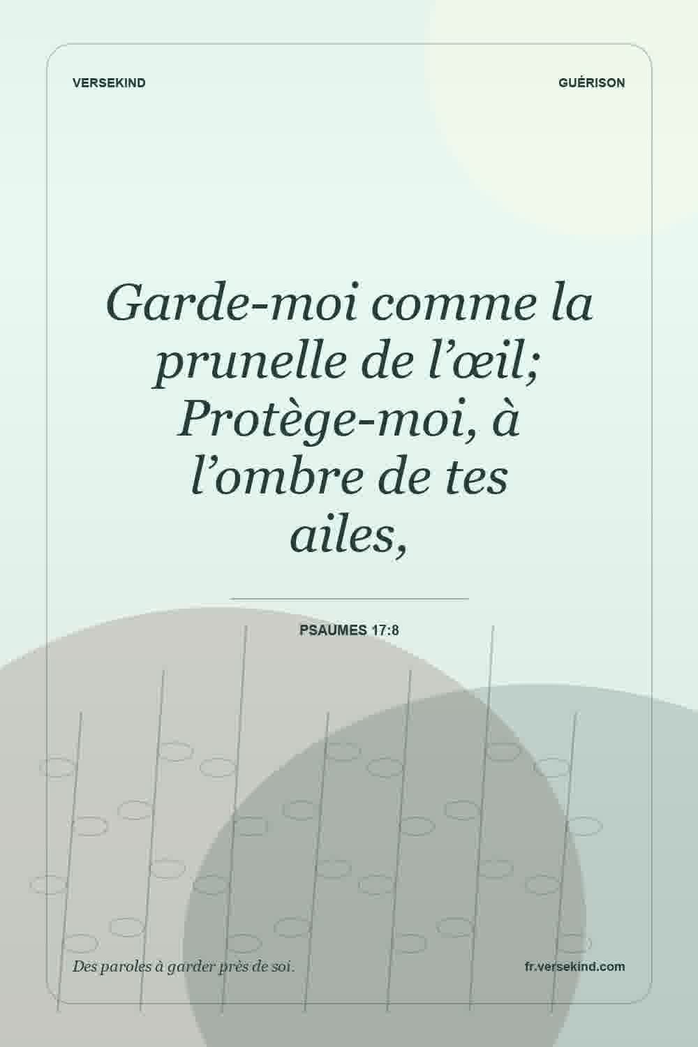 Garde-moi comme la prunelle de l’œil; Protège-moi, à l’ombre de tes ailes, — Psaumes 17:8