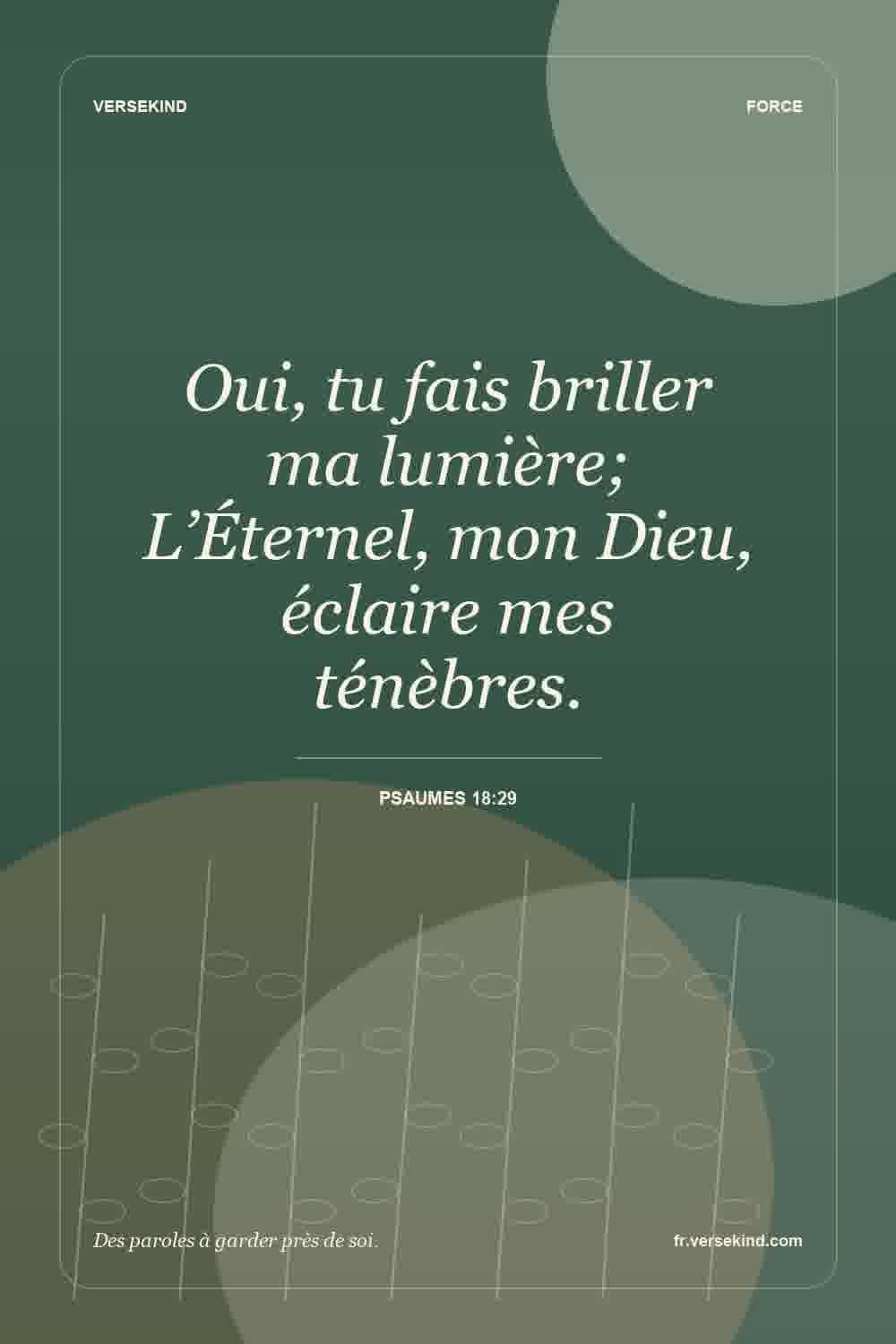 Oui, tu fais briller ma lumière; L’Éternel, mon Dieu, éclaire mes ténèbres. — Psaumes 18:29