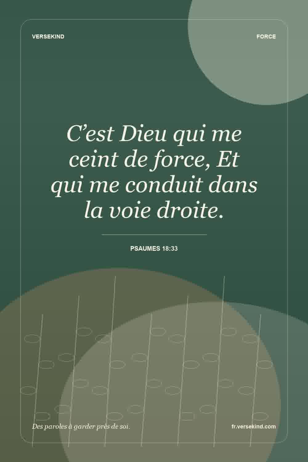 C’est Dieu qui me ceint de force, Et qui me conduit dans la voie droite. — Psaumes 18:33