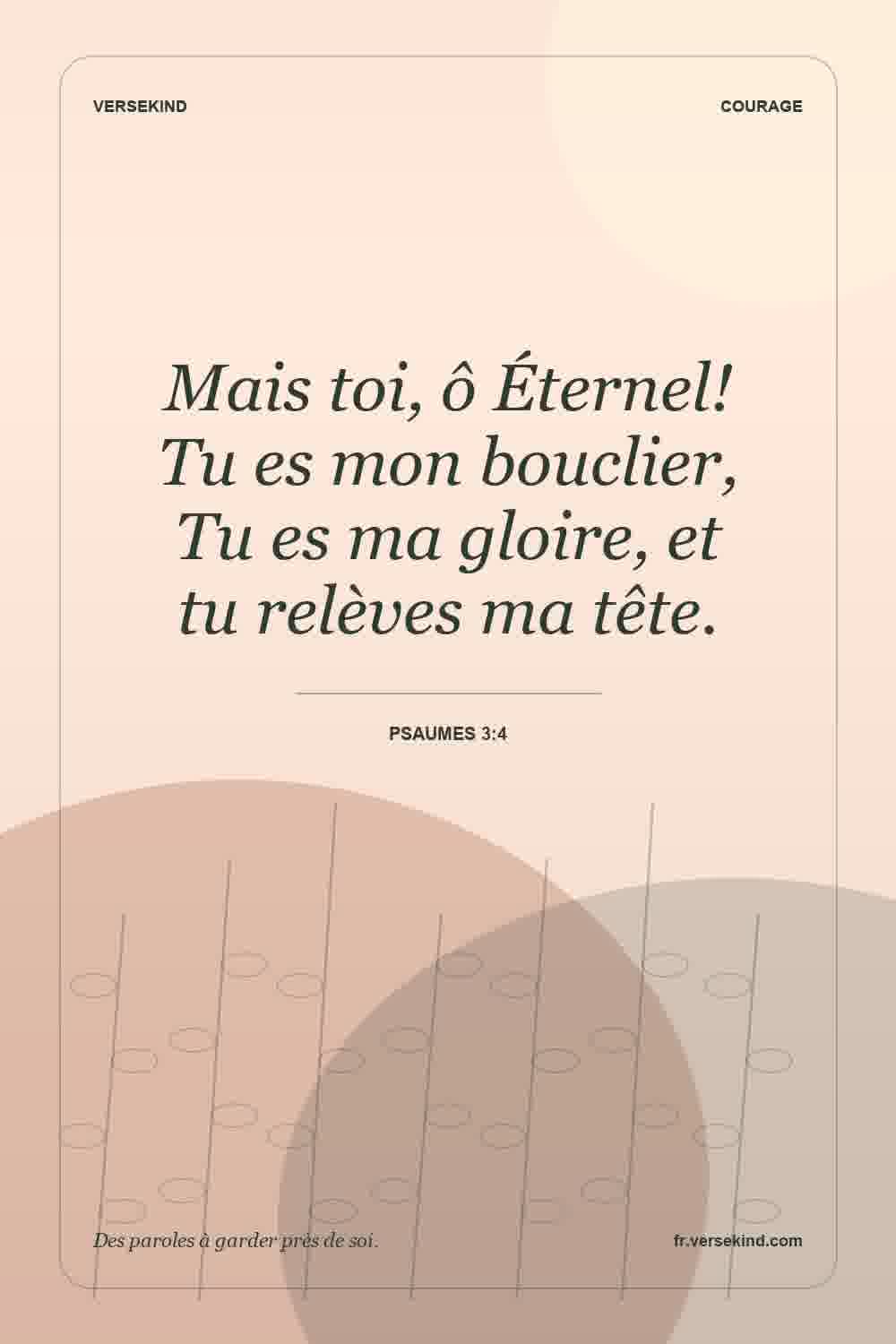 Mais toi, ô Éternel! Tu es mon bouclier, Tu es ma gloire, et tu relèves ma tête. — Psaumes 3:4