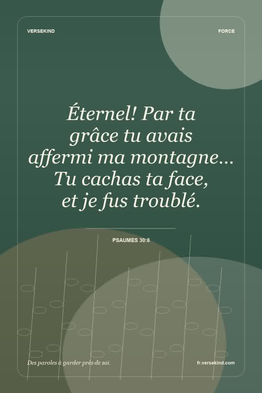 Éternel! Par ta grâce tu avais affermi ma montagne… Tu cachas ta face, et je fus troublé. — Psaumes 30:8