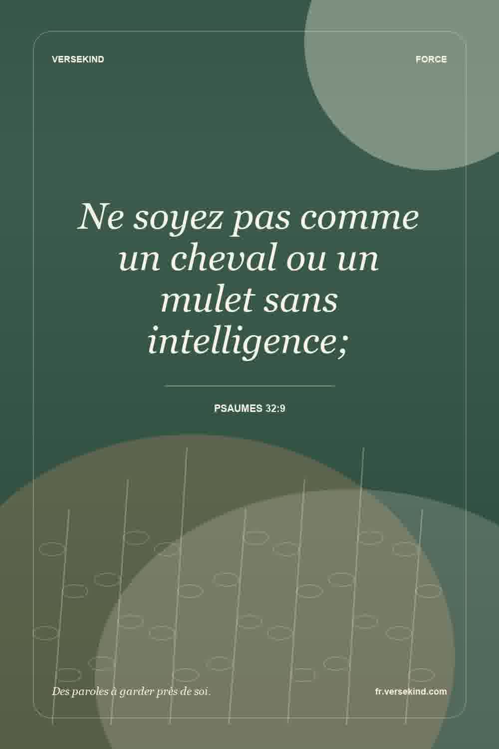 Ne soyez pas comme un cheval ou un mulet sans intelligence; — Psaumes 32:9