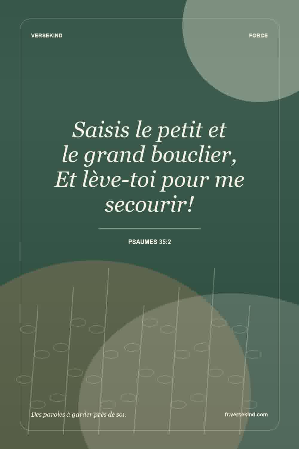 Saisis le petit et le grand bouclier, Et lève-toi pour me secourir! — Psaumes 35:2