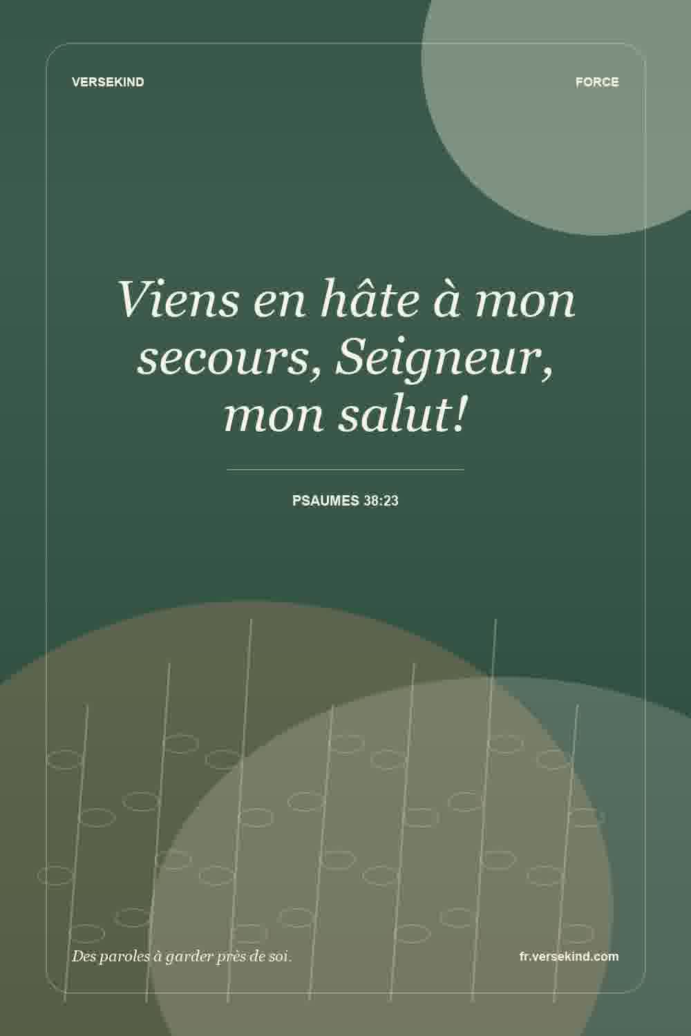 Viens en hâte à mon secours, Seigneur, mon salut! — Psaumes 38:23