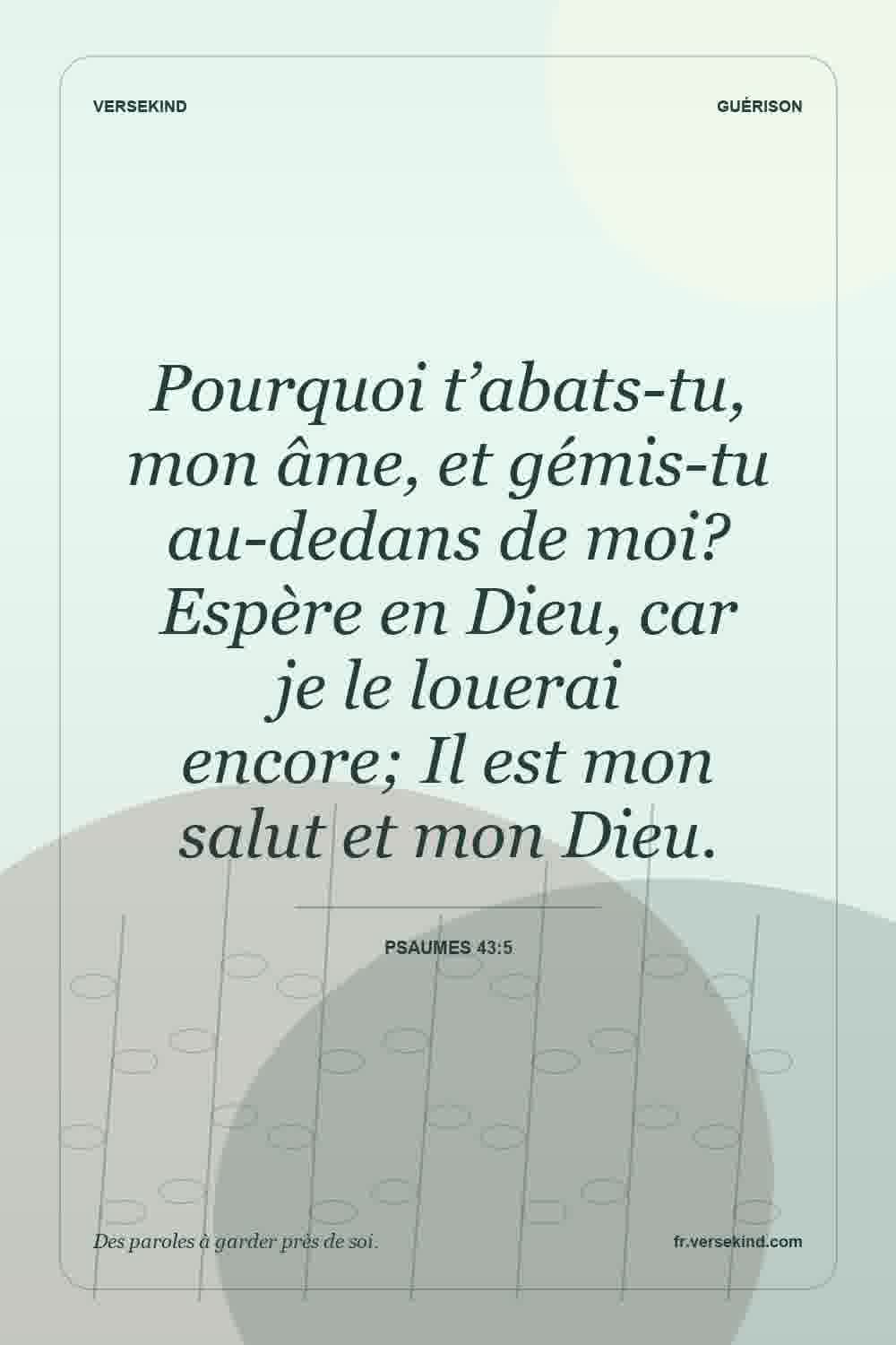 Pourquoi t’abats-tu, mon âme, et gémis-tu au-dedans de moi? Espère en Dieu, car je le louerai encore; Il est mon salut et mon Dieu. — Psaumes 43:5