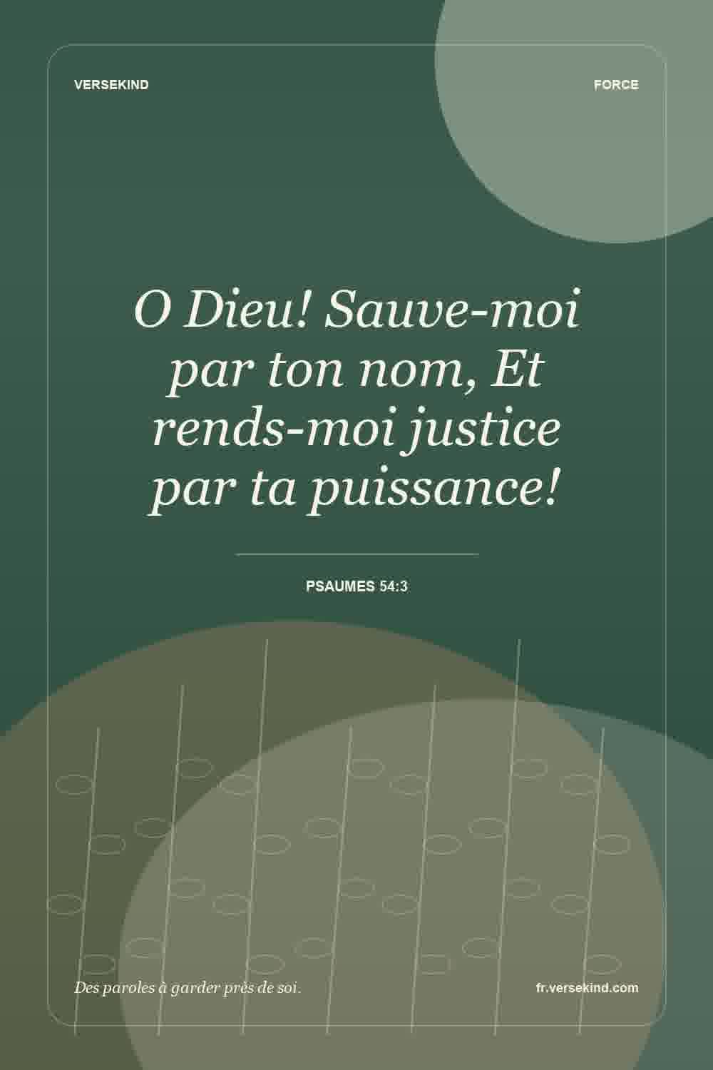 O Dieu! Sauve-moi par ton nom, Et rends-moi justice par ta puissance! — Psaumes 54:3