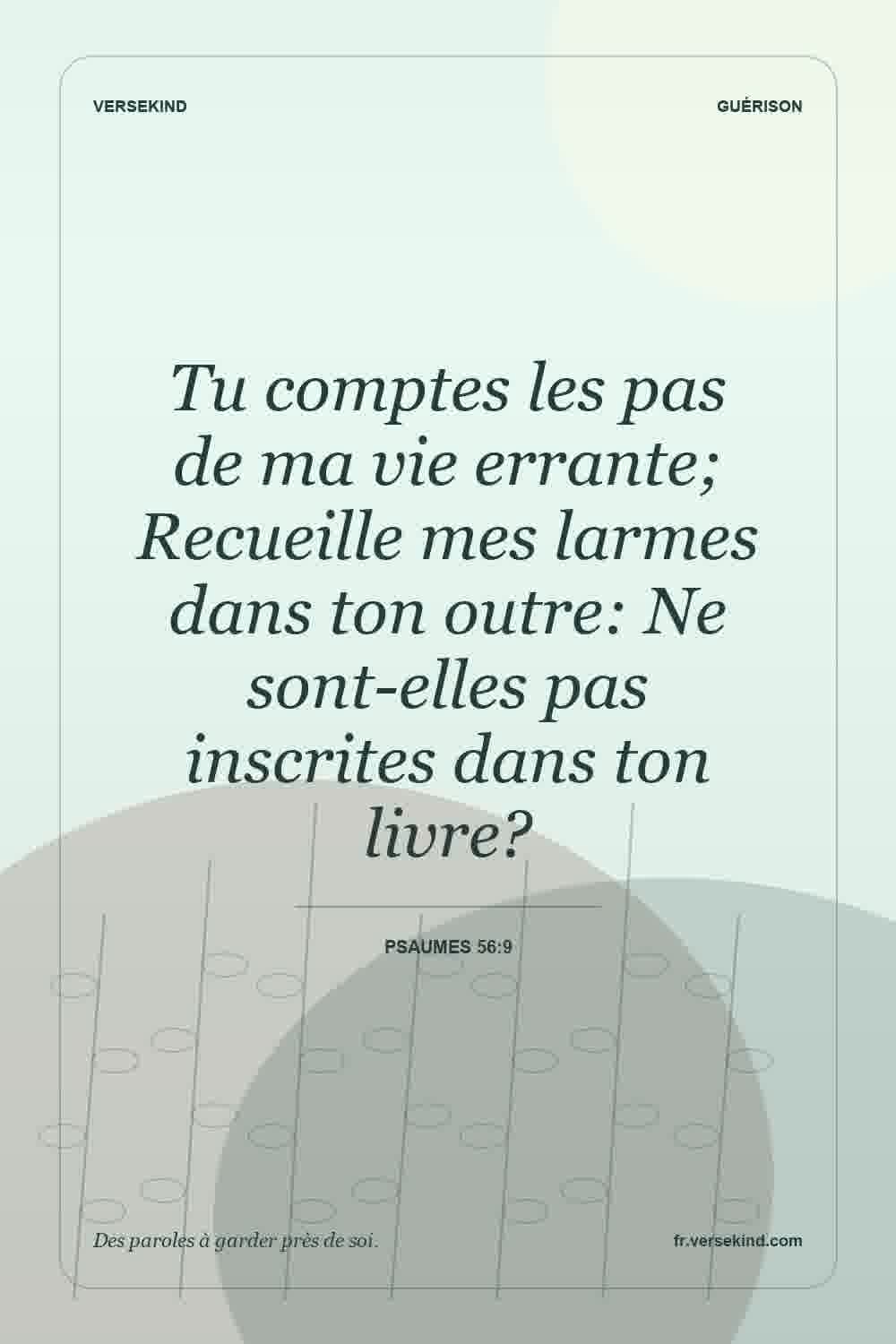 Tu comptes les pas de ma vie errante; Recueille mes larmes dans ton outre: Ne sont-elles pas inscrites dans ton livre? — Psaumes 56:9