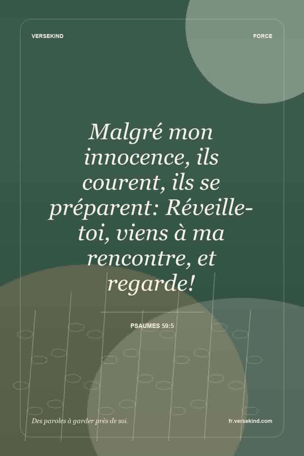 Malgré mon innocence, ils courent, ils se préparent: Réveille-toi, viens à ma rencontre, et regarde! — Psaumes 59:5