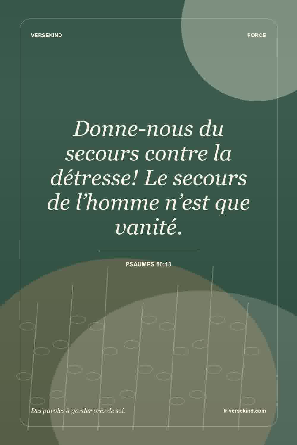 Donne-nous du secours contre la détresse! Le secours de l’homme n’est que vanité. — Psaumes 60:13