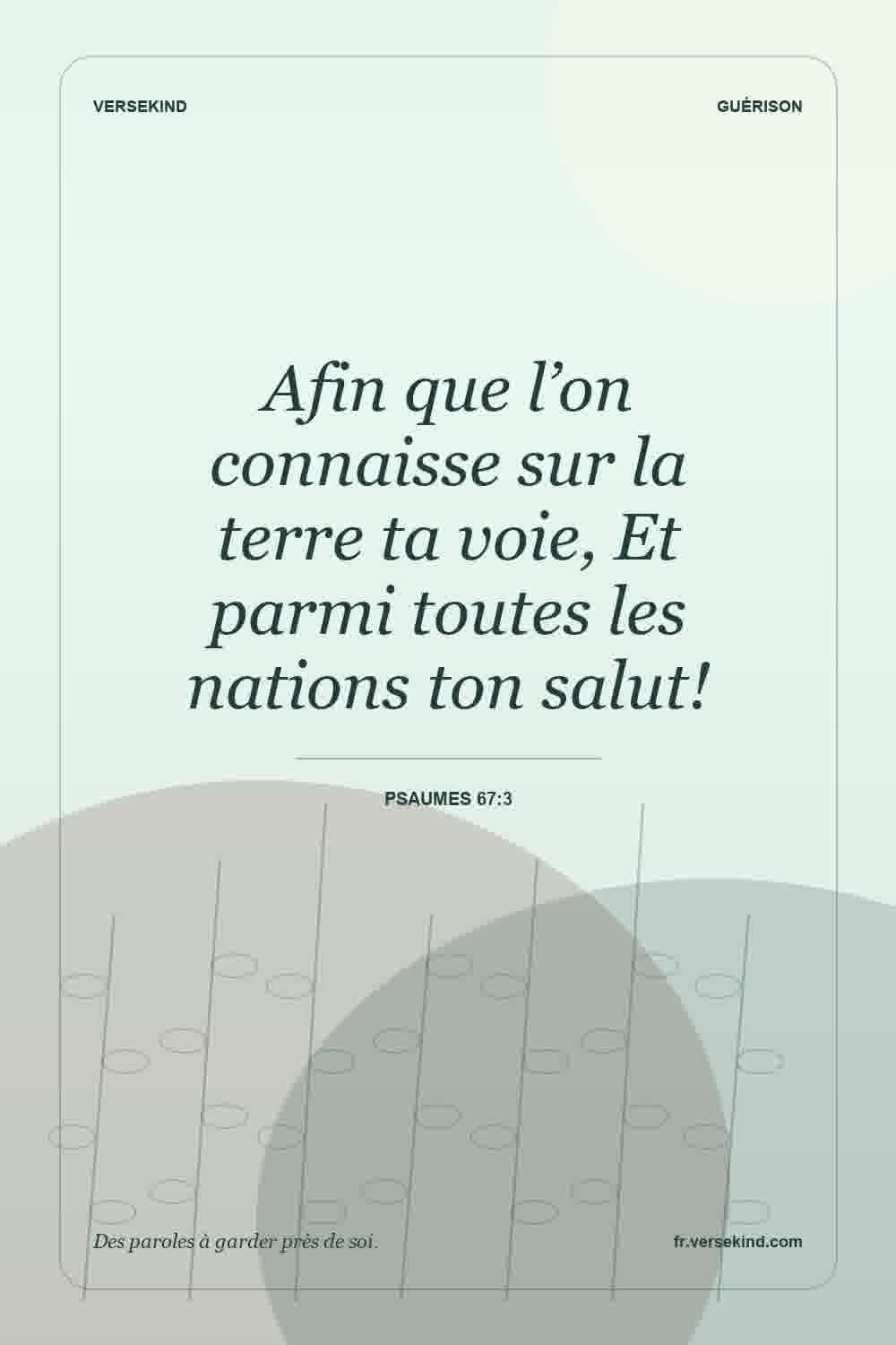 Afin que l’on connaisse sur la terre ta voie, Et parmi toutes les nations ton salut! — Psaumes 67:3