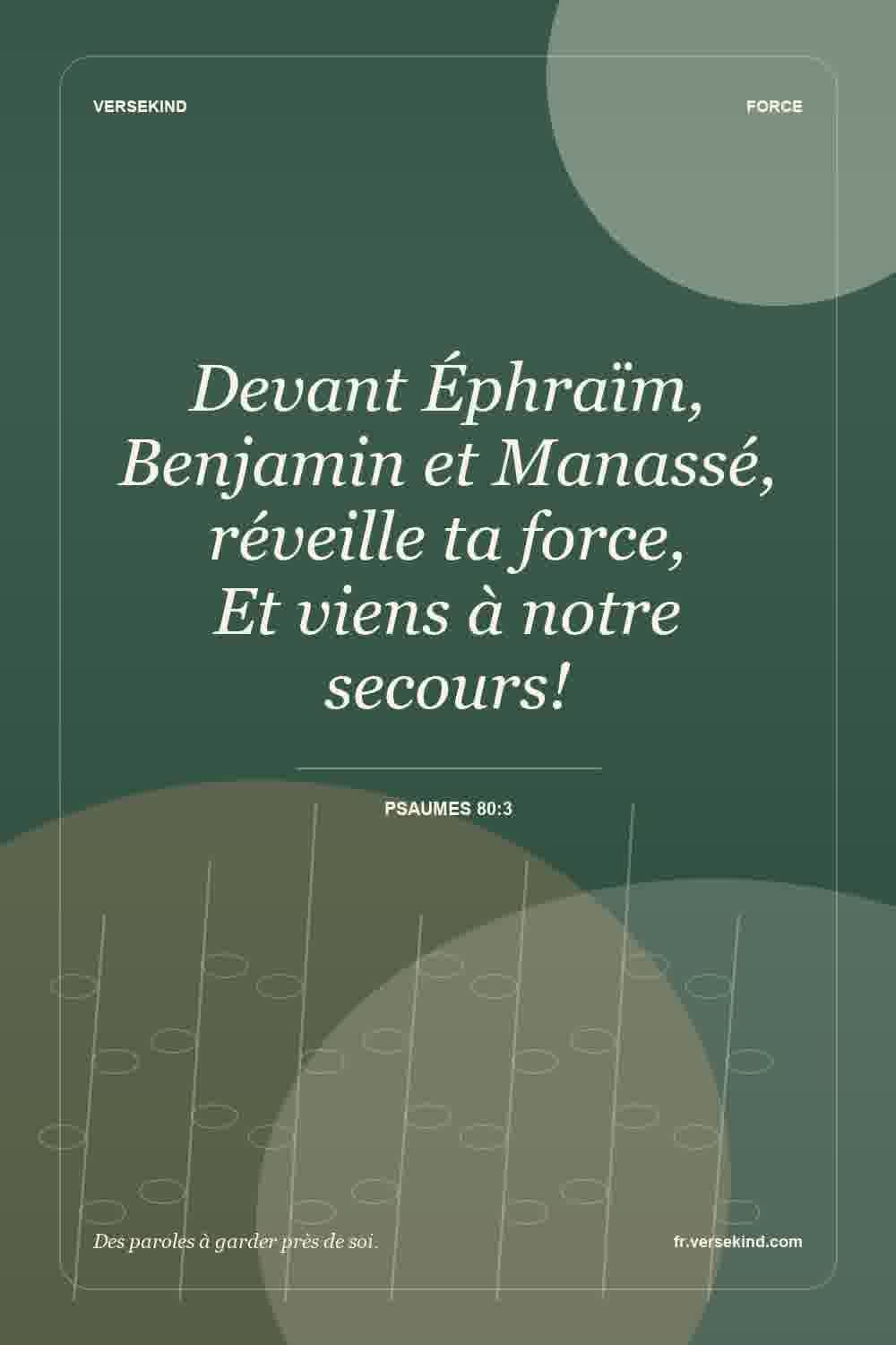 Devant Éphraïm, Benjamin et Manassé, réveille ta force, Et viens à notre secours! — Psaumes 80:3