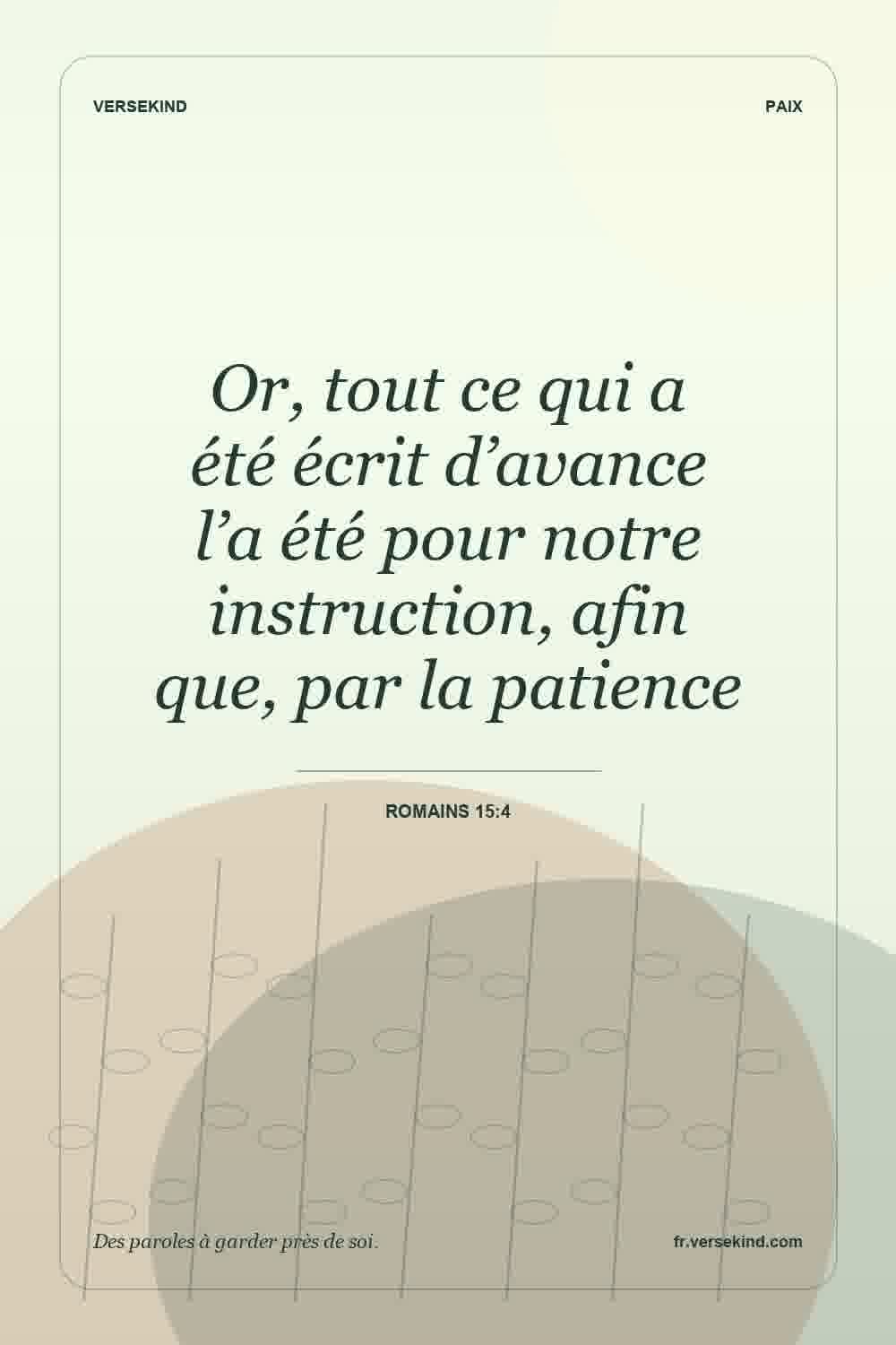 Or, tout ce qui a été écrit d’avance l’a été pour notre instruction, afin que, par la patience — Romains 15:4