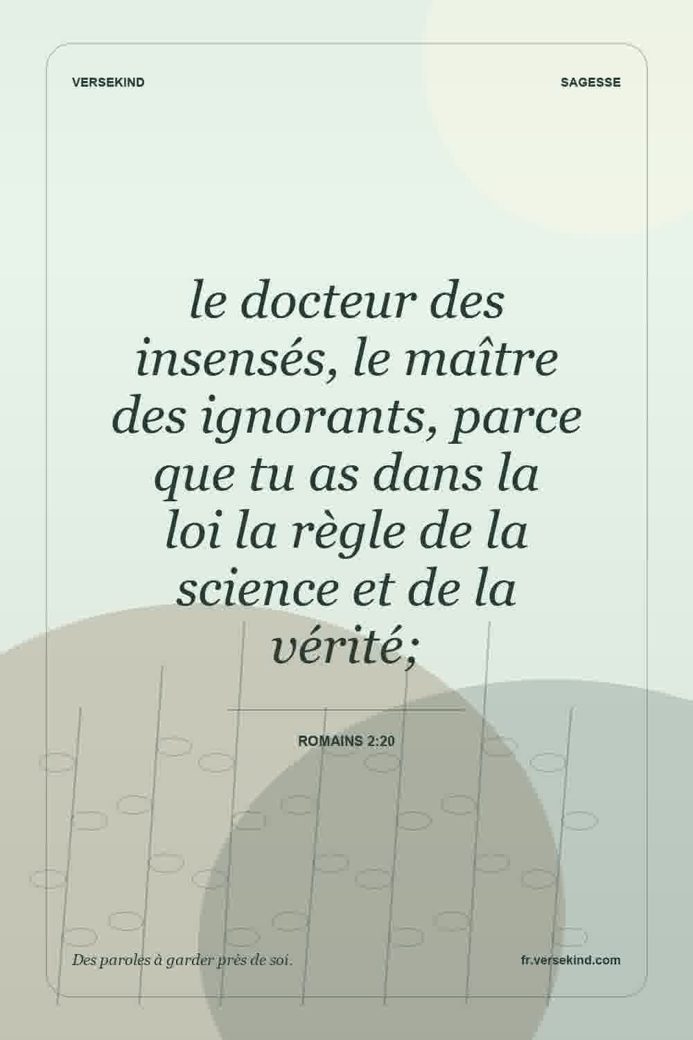 le docteur des insensés, le maître des ignorants, parce que tu as dans la loi la règle de la science et de la vérité; — Romains 2:20